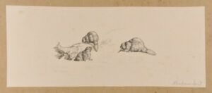 Beaver Hut on the Missouri