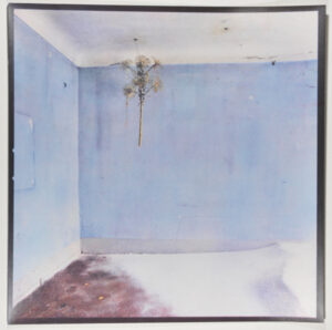 The Snow Storm (The Fourteenth Room)