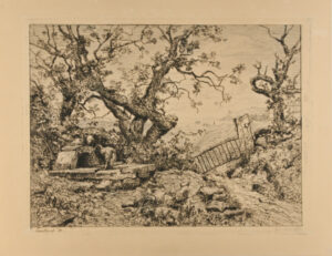 Woman drawing water from the Well