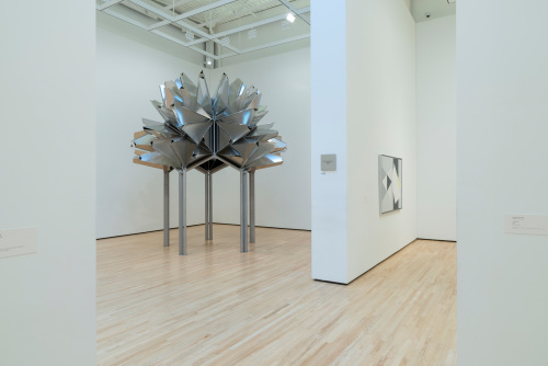 Flower observatory - Image 6