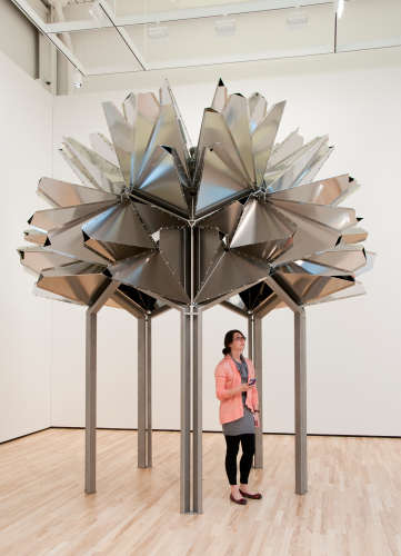 Flower observatory - Image 15