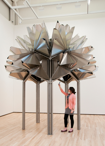 Flower observatory - Image 13