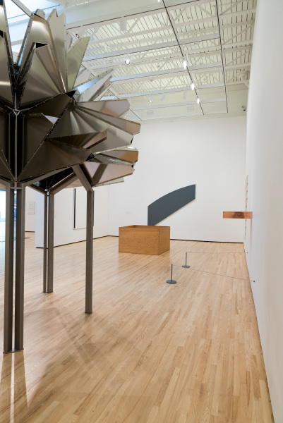 Flower observatory - Image 2