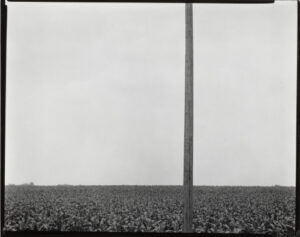 Outskirts of Chicago