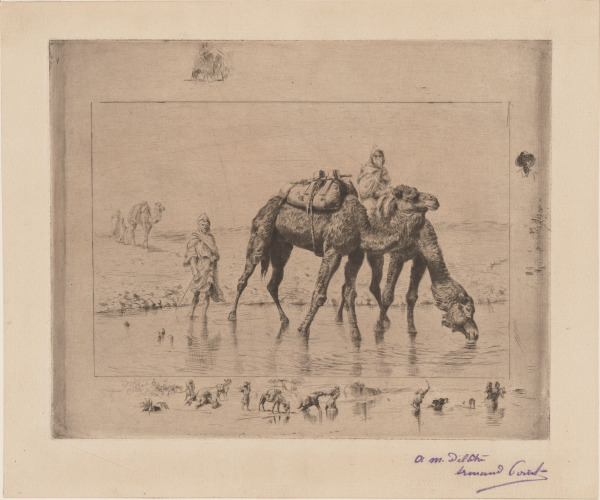 Chameaux Traversant un Gué