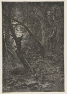 Récréation des ours