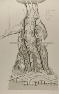 Model for Casting a Bronze Statue of Louis XV