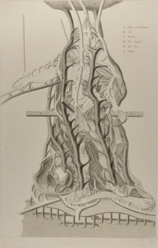 Model for Casting a Bronze Statue of Louis XV