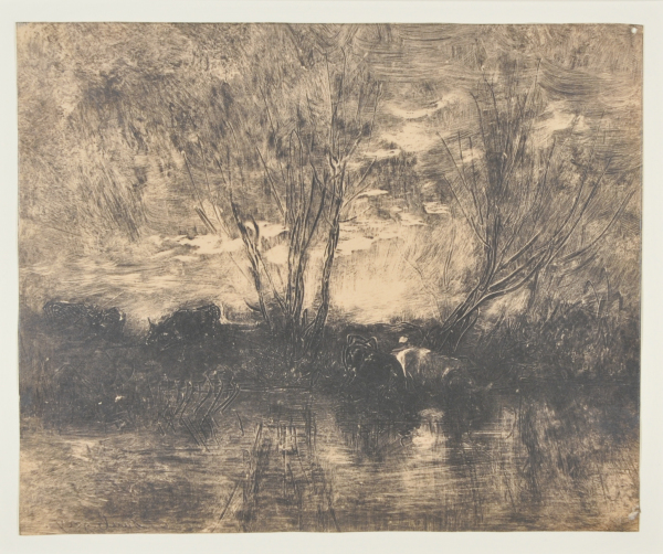 COWS AT THE WATERING PLACE