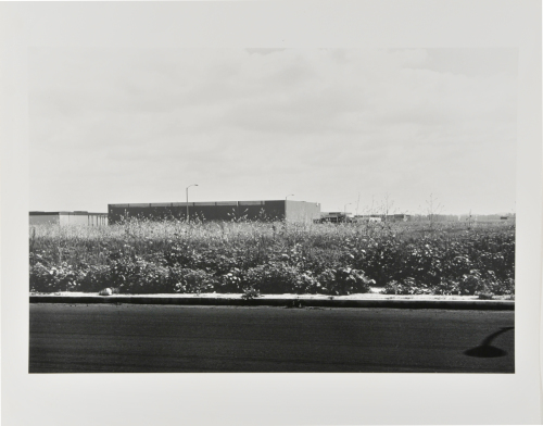 Von Karman Road, between Alton and McGaw Roads, looking East - Image 3