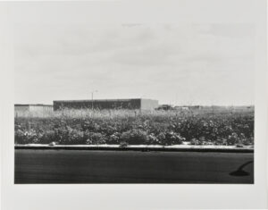 Von Karman Road, between Alton and McGaw Roads, looking East