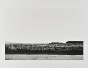 Kelvin between Derian and Jamboree Roads, looking towards Newport Center