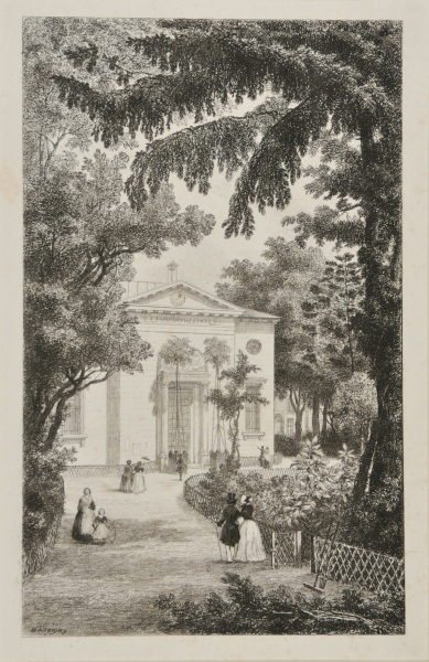 THE AMPHITHEATER AT THE BOTANICAL GARDEN