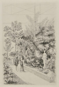 Intérieur de la grande serre du Jardin des Plantes