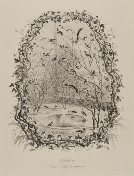 AVIARY OF THE PASSERINES