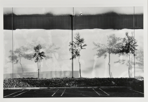 North Wall, Semicoa, 333 McCormick, Costa Mesa - Image 2