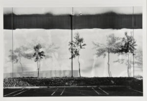 North Wall, Semicoa, 333 McCormick, Costa Mesa