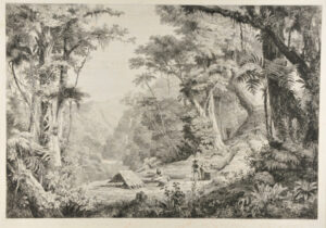 Valley of San Juan del Oro (Gathering Cinchona Bark)