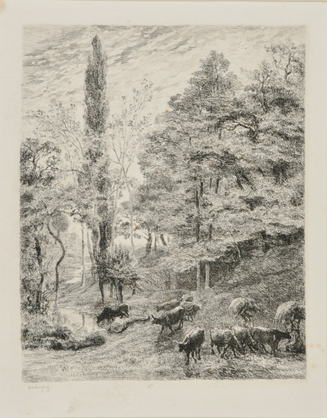 THE BANKS OF THE COUSIN