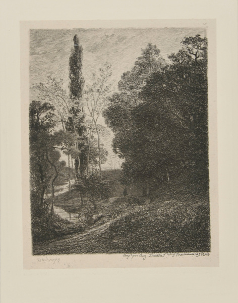 THE BANKS OF THE COUSIN