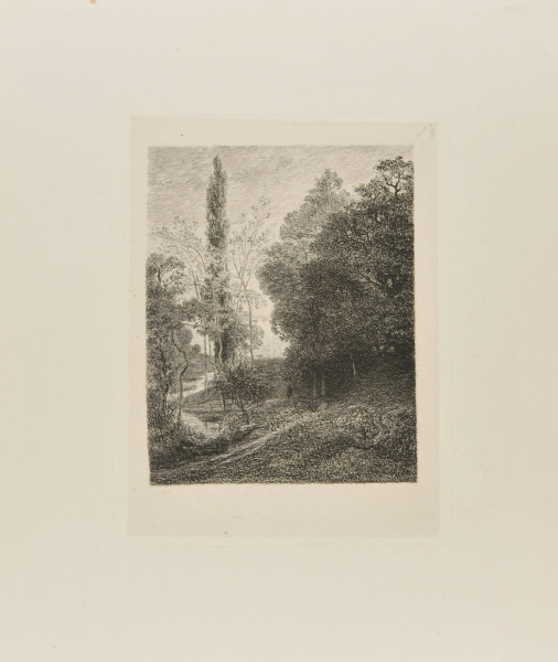 THE BANKS OF THE COUSIN