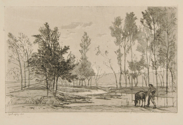 THE DONKEY AT THE WATERING PLACE