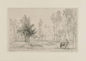 The Donkey at the Watering Place