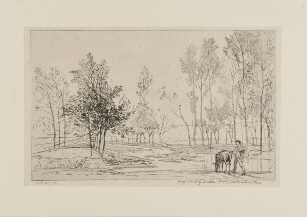 THE DONKEY AT THE WATERING PLACE