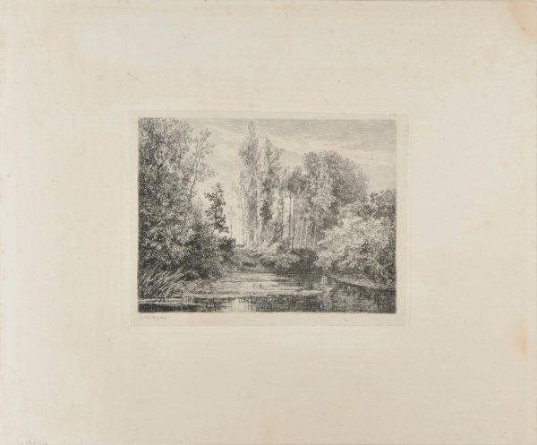 STAGS AT THE WATER'S EDGE