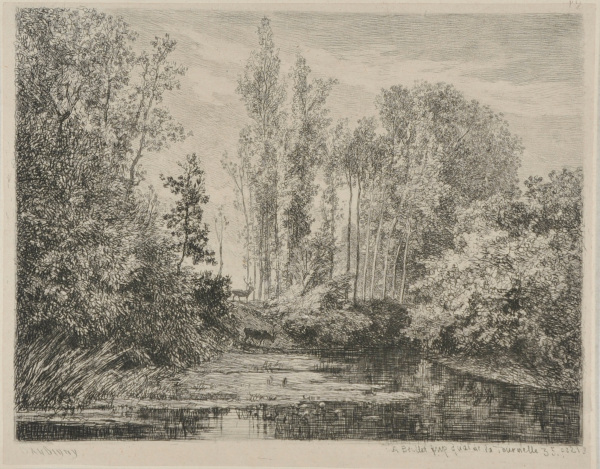 STAGS AT THE WATER'S EDGE