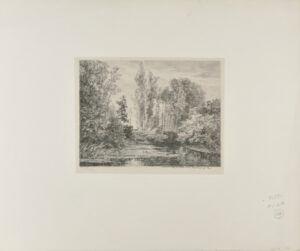 Stags at the Water’s Edge