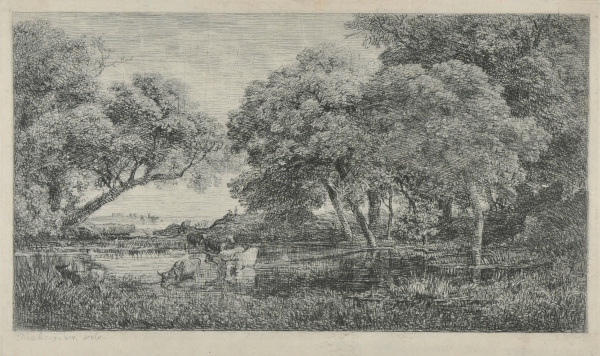 THE COWS IN THE MARSH