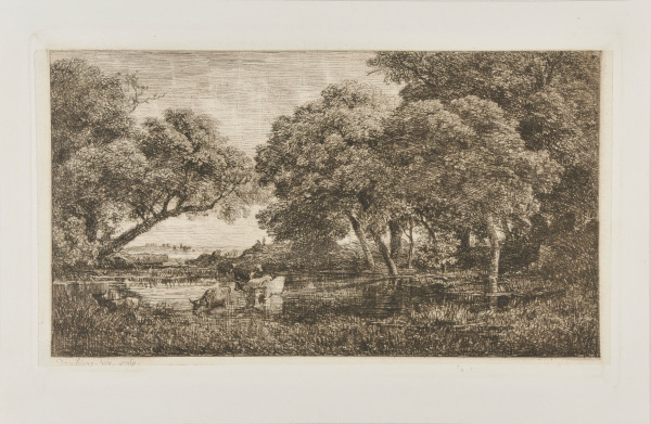 THE COWS IN THE MARSH