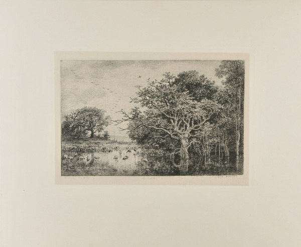 Le Marais (aux cigognes)