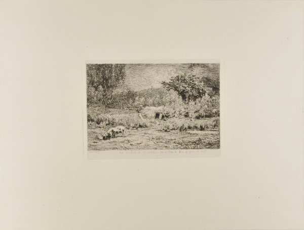 THE PIG IN AN ORCHARD