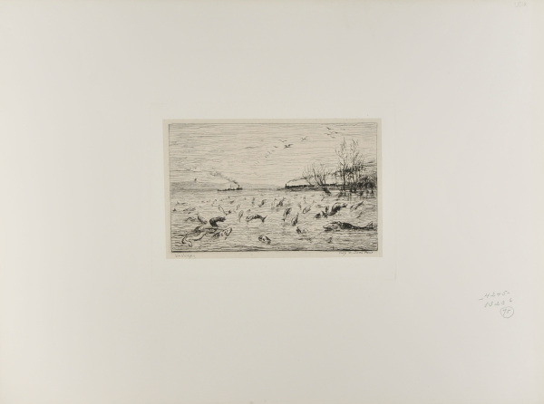 REJOICING OF THE FISH AT THE DEPARTURE OF THE CABIN BOY (THE FISH)