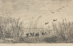 Le Marais aux canards