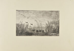 Le Marais aux canards