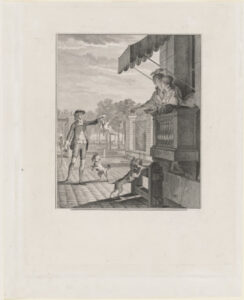 The Successful Wager