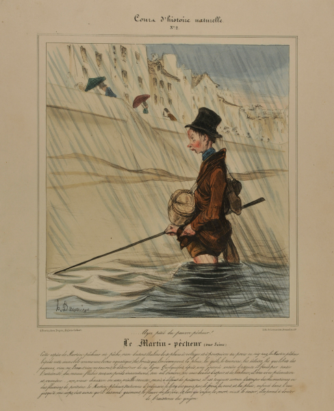 THE KINGFISHER (OF THE SEINE)