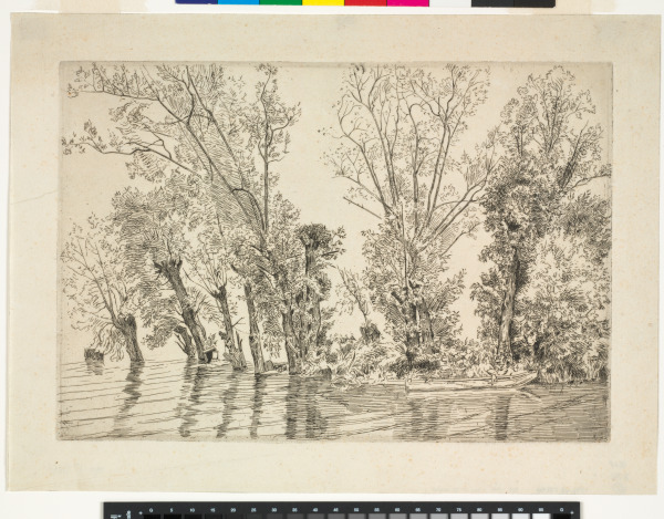 THE WILLOWS AT MOTTIAUX