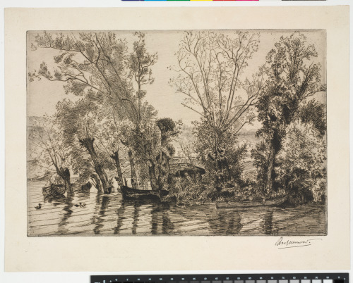 THE WILLOWS AT MOTTIAUX