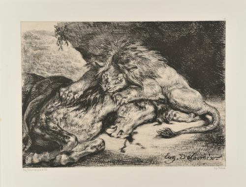 Lion Devouring a Horse