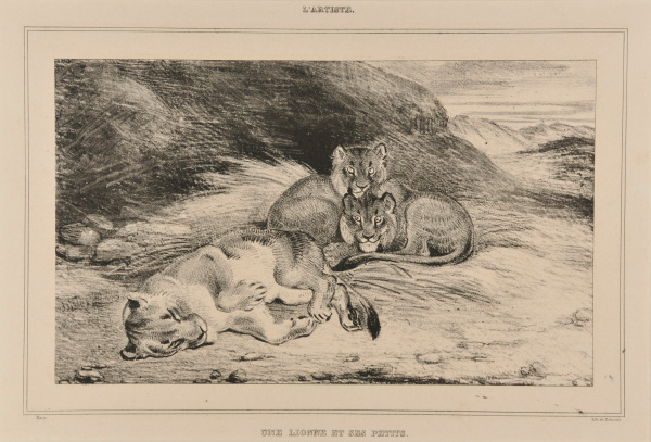 Une Lionne et ses petits