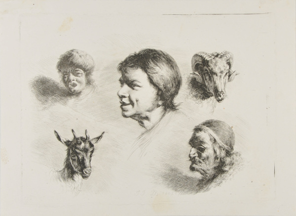 Five Studies of Heads - Image 2