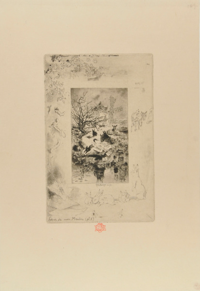 TITLE PAGE FOR LETTERS FROM MY LIGHTHOUSE