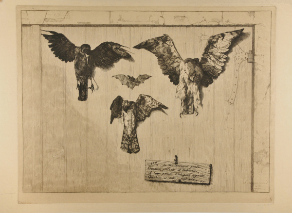 THE TOP HALF OF THE DOOR