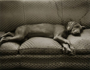 Xenar, Mt. Airy, Md.