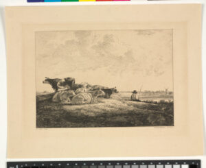 Vaches au Bord de l’Eau