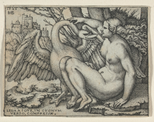 LEDA AND THE SWAN